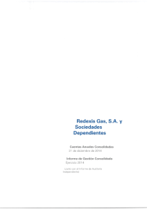 Cuentas Anuales e Informe de Gestión de Redexis Gas 2014