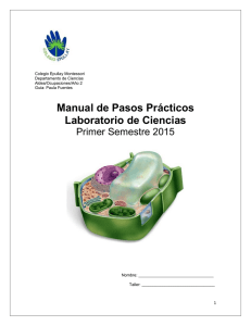 Manual de Laboratorio - Colegio Epullay Montessori