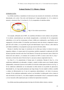 TP 3 Mitosis y Meiosis - Universidad Nacional de Quilmes
