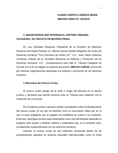 Case of Florence Cassez - Comisión de Derechos Humanos del