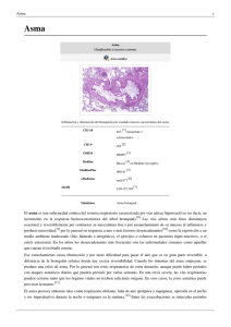 Asma - distribucioneslyf.es