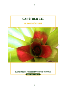 capítulo iii - infoagro colombia