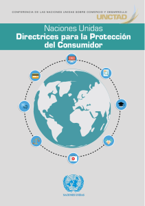 Naciones Unidas Directrices para la Protección del