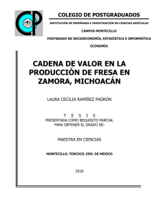 cadena de valor en la producción de fresa en zamora, michoacán