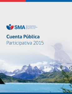 Informe Cuenta Pública 2015 - Superintendencia del Medio Ambiente