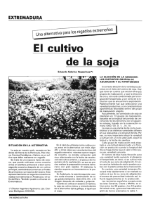 Extremadura: El cultivo de la soja