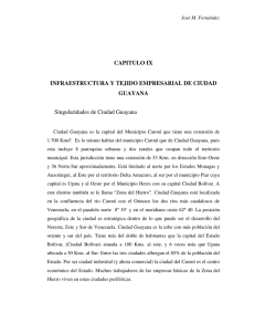 CAPITULO IX INFRAESTRUCTURA Y TEJIDO EMPRESARIAL DE