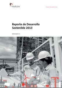 Reporte de Desarrollo Sostenible 2013