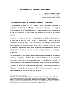 reforma politica y pueblos indigenas