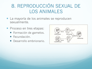 8. REPRODUCCIÓN SEXUAL DE LOS ANIMALES