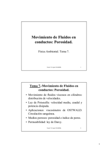 Movimiento de Fluidos en conductos: Porosidad.