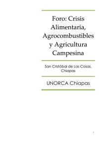 Foro: Crisis Alimentaria, Agrocombustibles y Agricultura Campesina