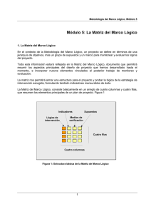 M5 La Matriz del Marco Lógico - Tecnología para la Organización