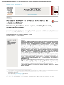 Interacción de FABP4 con proteínas de membrana de células