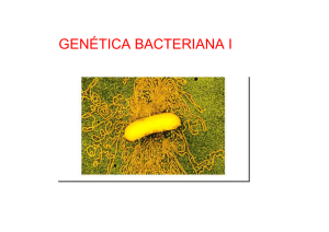 Genetica I 2015 [Modo de compatibilidad]
