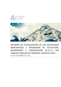informe de fiscalización de las sociedades mercantiles y programa