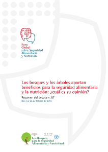 Los bosques y los árboles aportan beneficios para la seguridad