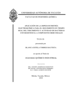 universidad a universidad autónoma de yucatán ingeniero químico