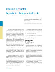 Ictericia neonatal - hiperbilirrubinemia indirecta