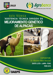 mejoramiento genetico de alpacas