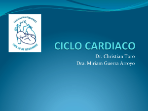 Ciclo Cardiaca