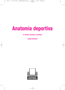 Anatomía deportiva - Editorial Paidotribo