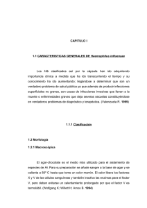 CAPITULO I 1.1 CARACTERISTICAS GENERALES
