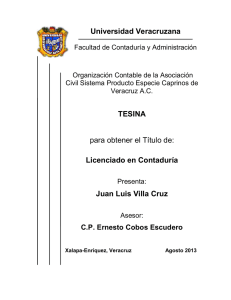 Licenciado en Contaduría Juan Luis Villa Cruz