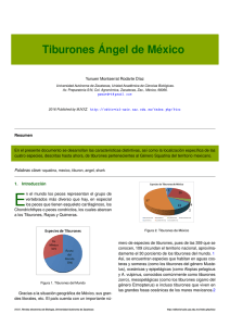 Tiburones Ángel de México - Editorial Universidad Autónoma de
