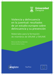 Violencia y delincuencia en la juventud: resultados de un estudio
