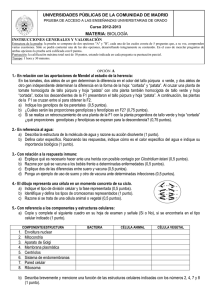 UNIVERSIDADES PÚBLICAS DE LA COMUNIDAD DE MADRID