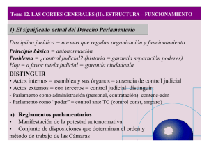 Tema 12 - Derecho Constitucional