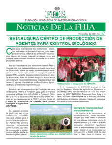 noticias de la fhia - Fundación Hondureña de Investigación Agrícola