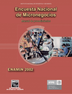 Manual de procedimientos de la ENAMIN 2002