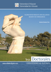 Valorizaci&oacute;n de residuos lignocelul&oacute;sicos mediante v&iacute;as