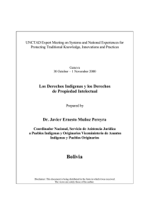 Los Derechos Indigenas y los Derechos de Propiedad Intelectual