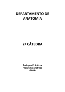 Programa medicina 2009