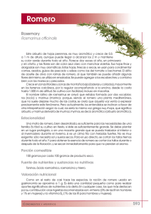 Romero - FEN. Fundación Española de la Nutrición