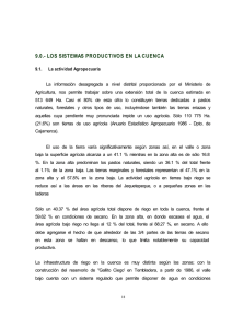 9.0.- LOS SISTEMAS PRODUCTIVOS EN LA CUENCA