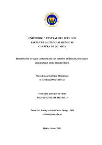 UNIVERSIDAD CENTRAL DEL ECUADOR FACULTAD DE