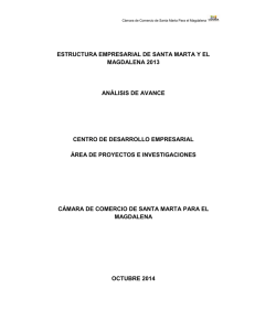 estructura empresarial de santa marta y el magdalena 2013 análisis