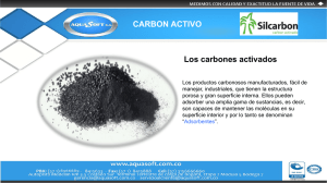 Los carbones activados CARBON ACTIVO