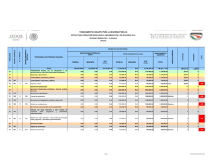 AE AE AE AE AE ESTRUCTURA PRESUPUESTARIA PARA EL