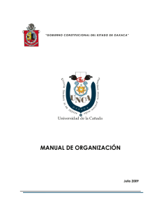 manual de organización - Universidad de la Cañada