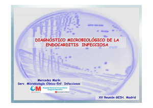 diagnóstico microbiológico de la endocarditis infecciosa