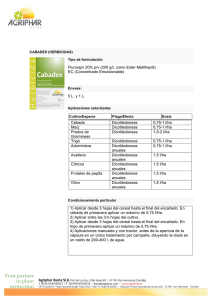 Fluroxipir 20% p/v (200 g/L como Ester Metilheptil) EC (Concentrado
