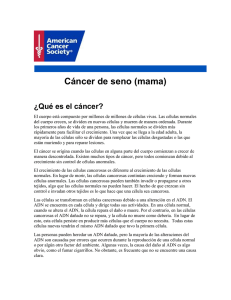 Cáncer de seno (mama) - Sociedad Venezolana de Oncología