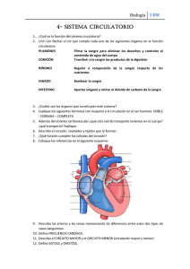 TP - Sistema Circulatorio