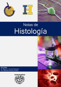 repaso teorico de histologia - Departamento de Biología Celular y