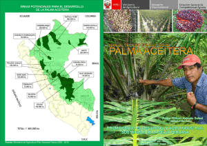 Cartilla de difusion Palma - Ministerio de Agricultura